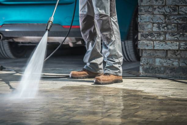 Best Fleet Vehicle Washing  in Weston, FL