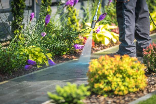 Best Patio and Deck Pressure Washing  in Weston, FL