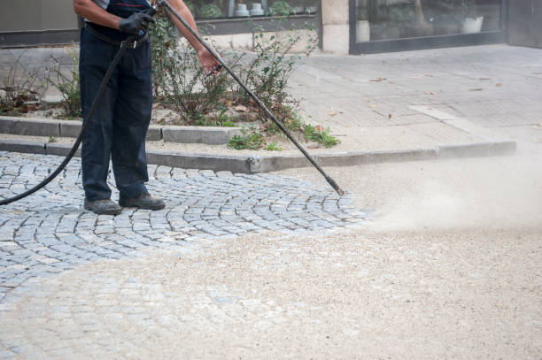 Best Roof Washing  in Weston, FL