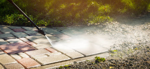 Best Fence Cleaning  in Weston, FL